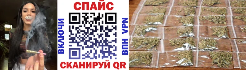блэк спрут вход  Вольск  БУТИРАТ буратино 
