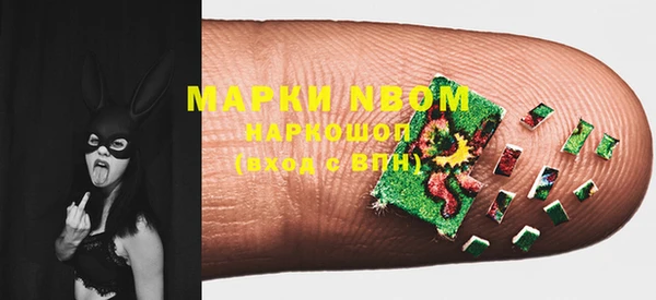 индика Баксан