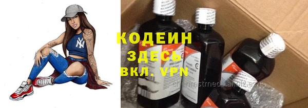 индика Баксан