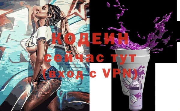 индика Баксан