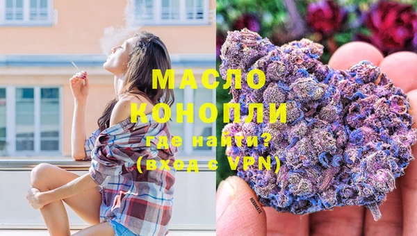 индика Баксан