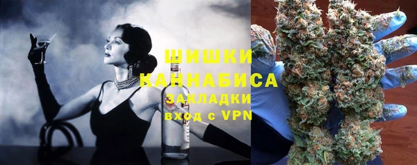 индика Баксан