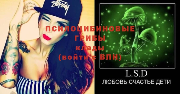 индика Баксан
