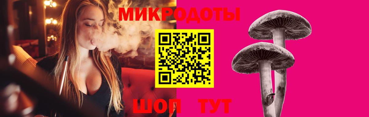 Вольск  Псилоцибиновые грибы Cubensis  Вход с VPN  Галлюциногенные грибы мухоморы 